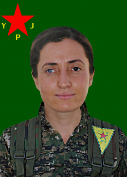 Nûda Arîn
