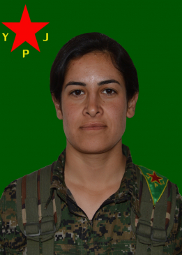 Peyman Elî
