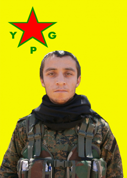Qehreman Efrîn