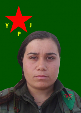 Rojîn Zap