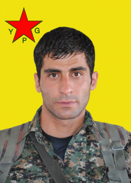 Ronî Efrîn