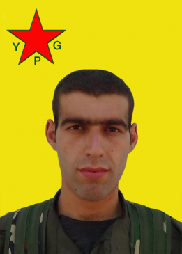 سيد ريزا آمد