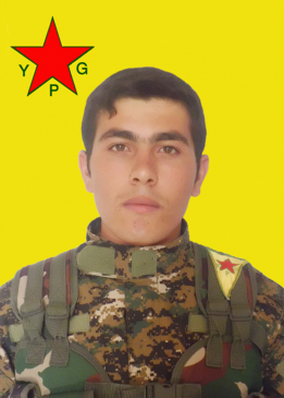Şiyar Serxwebûn