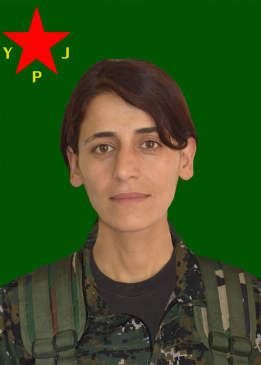 Sozdar Hemze Goyî