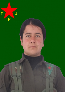 Tekoşîn Welat