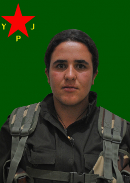 Tekoşîn Zîlan