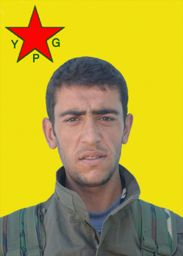 Tîrêj Amed