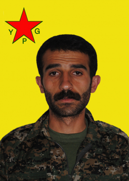 Tîrêj Gelî