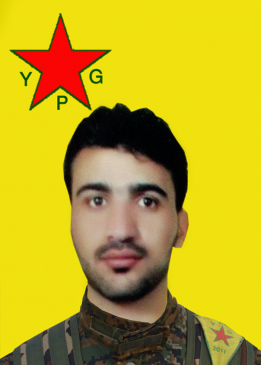 Tîrêj Qamişlo