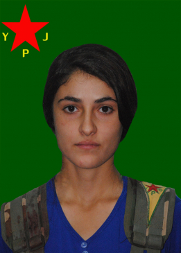 Toljin Bager
