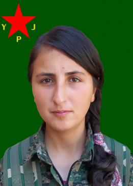 Tolvîn Cudî