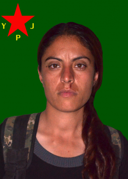 Vejîn Koçer