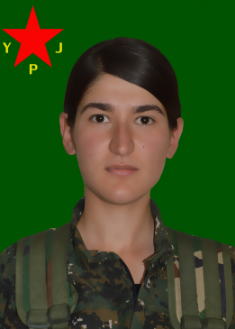 Viyan Amed