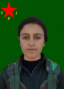 Viyan Zîlan