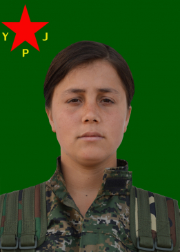 Zîlan Jîn