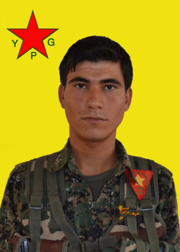 Zinar Reş