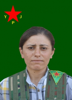 Adar Zagros