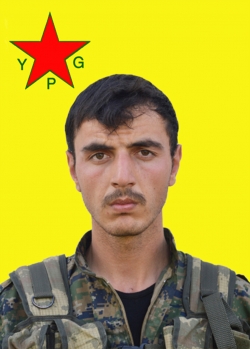 Adil Avarîn
