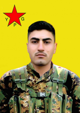 Adil Efrîn
