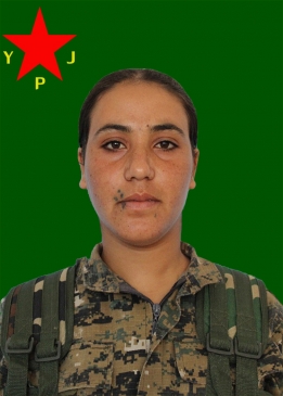 Agirin Şedade