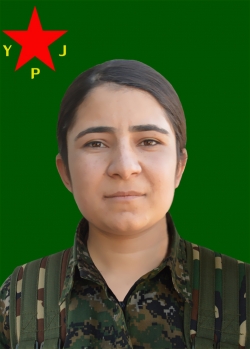 Amara Dersim