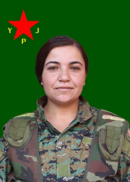 Amara Rojhilat