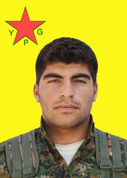 Amed Amûdê