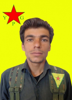 Amed Serêkaniyê