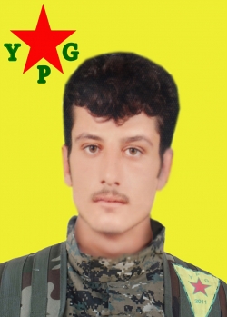 Argeş Qamişlo