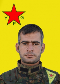 Arî Zagros