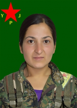 Arîn Dersim