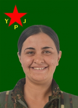 ارجين آمد