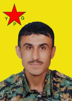 Arkeş Qamişlo