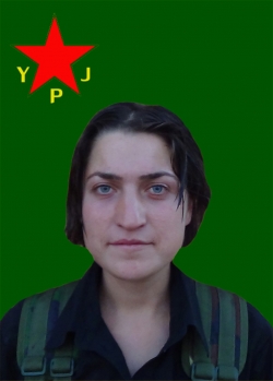 Asmîn Amed