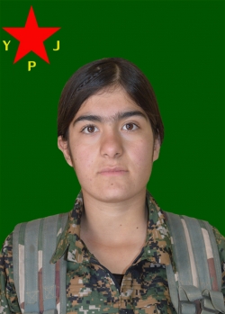 Asya Amed