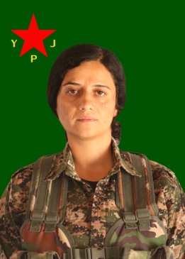 Avaşîn Azad
