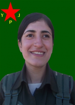 Avînar Xerzî