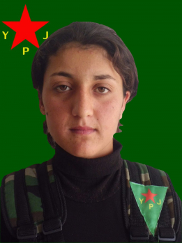 Awaz Zagros