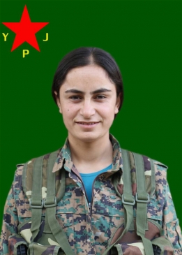 Axin Tayhan