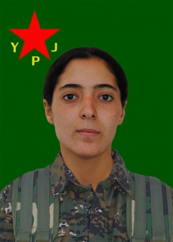 Axîn Zinar