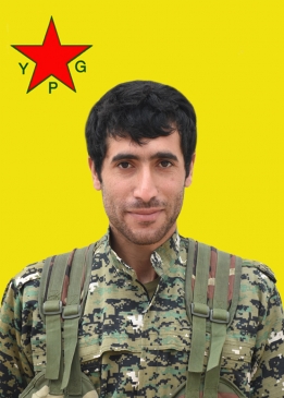 Bahoz Amed