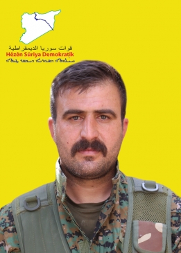 Bahoz Amed