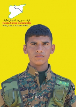 Bahoz Efrîn