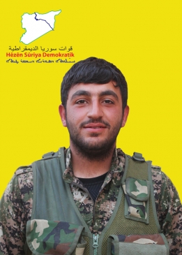Bahoz Serhed