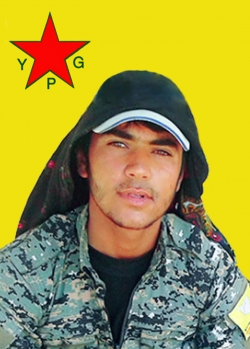 Baz Qeremoğ