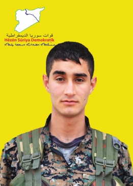 Bedran Ronahî
