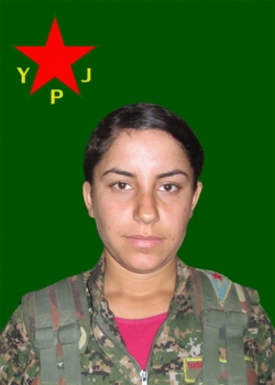 Berçem Hogir