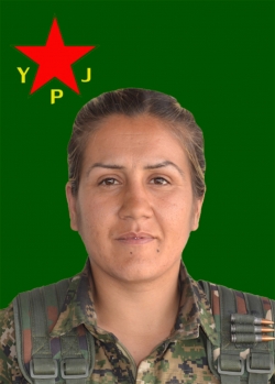 برفين عامودا
