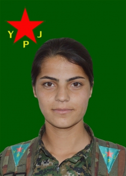 Bêrîtan Cudî