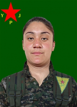 Bêrîtan Tolhildan
